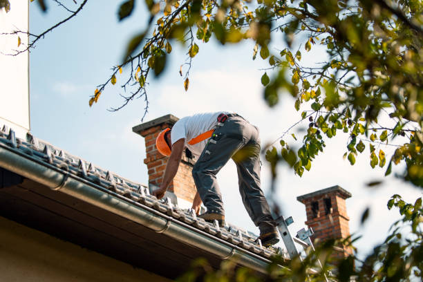 Best Gutter Installation and Roofing  in Walnut, IL