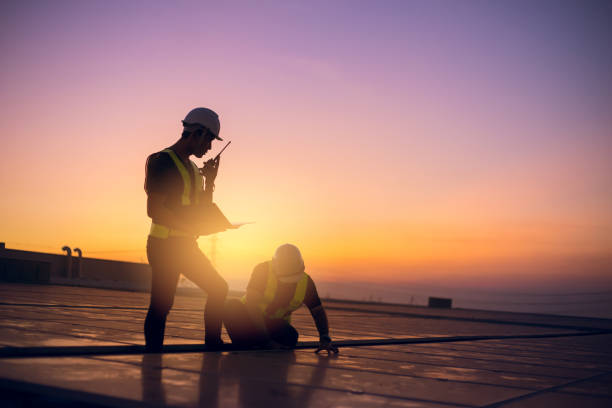 Best Roof Gutter Cleaning  in Walnut, IL