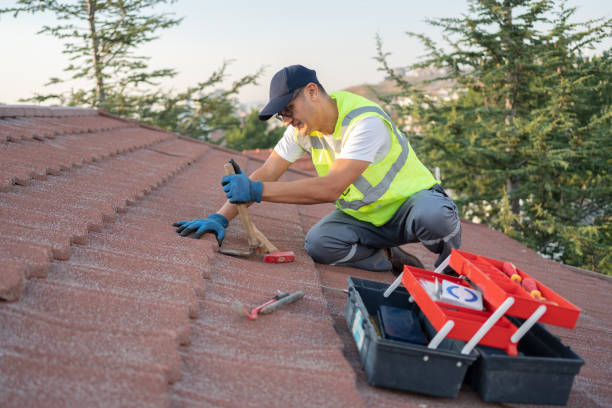Gutter Installation and Roofing in Walnut, IL
