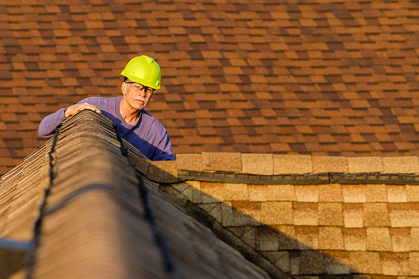 Best New Roof Installation  in Walnut, IL