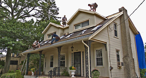 Best Best Roofing Contractors  in Walnut, IL
